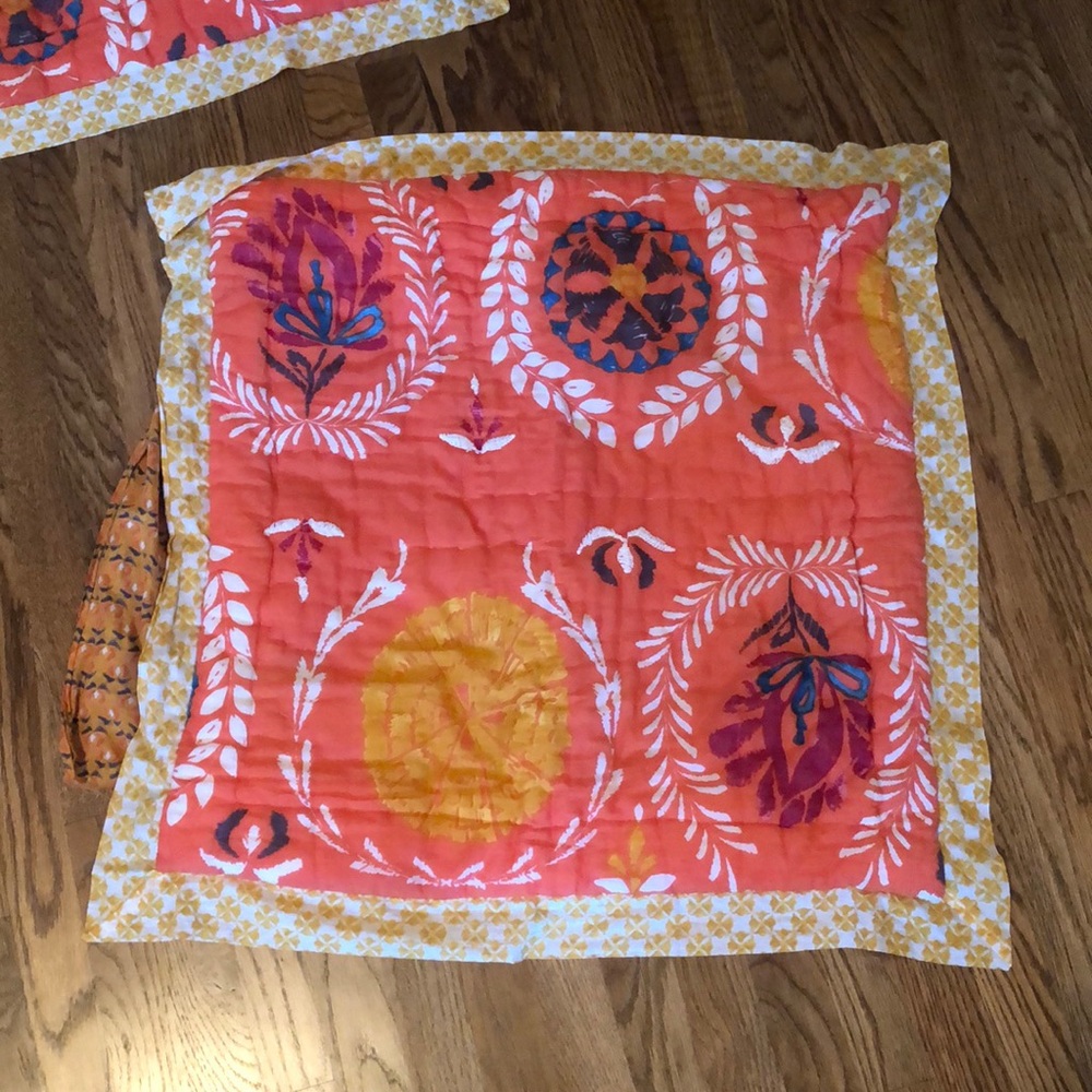 Two Anthropologie eurosham pillows!